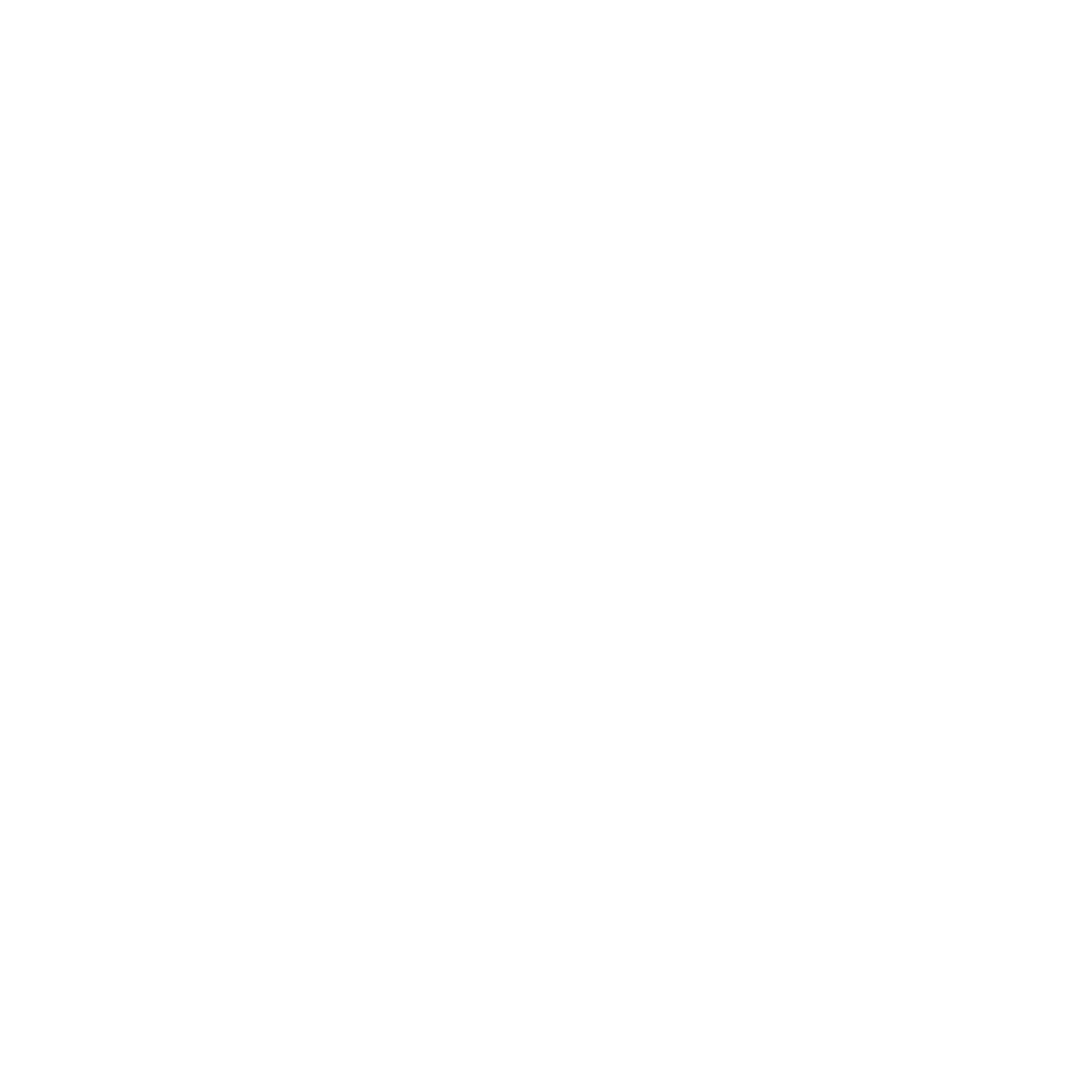 HIISA STORE